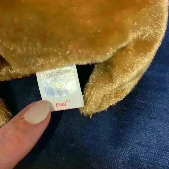 Ty Beanie Baby Paul - Picture 4 of 6